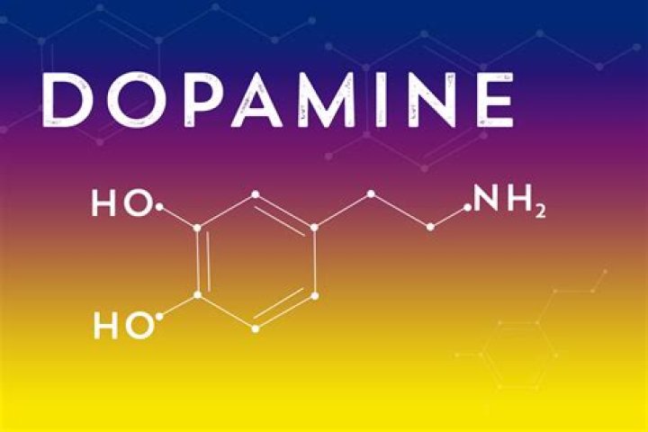 Does tyrosine increase dopamine?