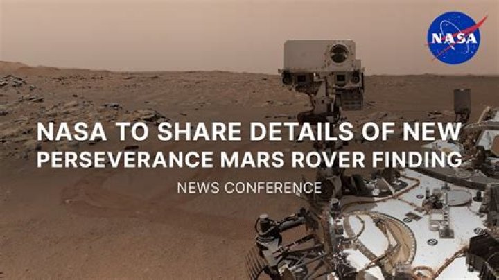 Has perseverance rover found anything?