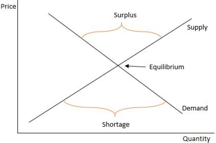 How are equilibrium surplus and shortage correlated?