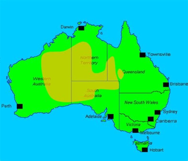 How are feral camels being managed in Australia?
