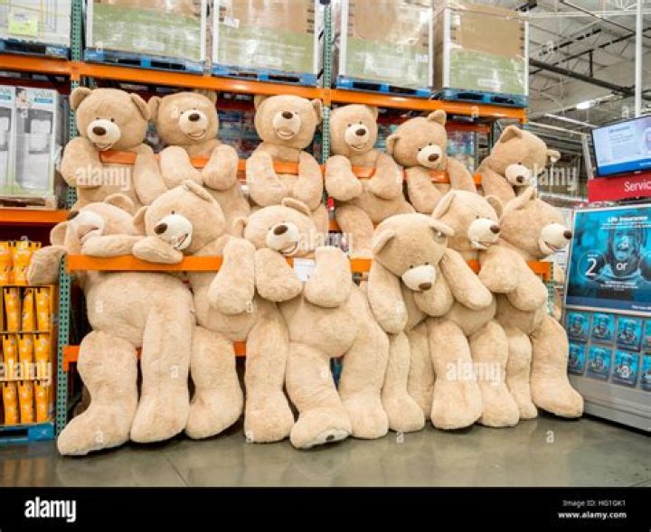 How big are the teddy bears at Costco?