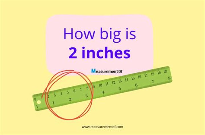 How big does Choisya get?