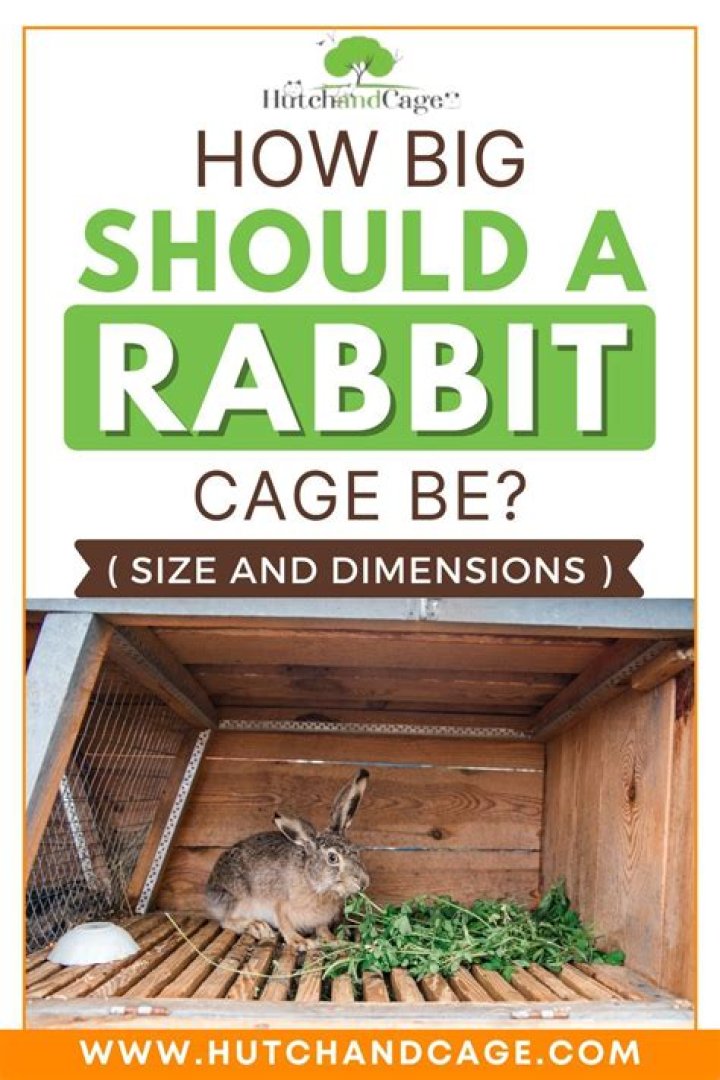 How big should a rabbit breeding cage be?