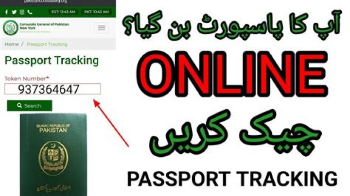 How can I check my passport status online in Pakistan?