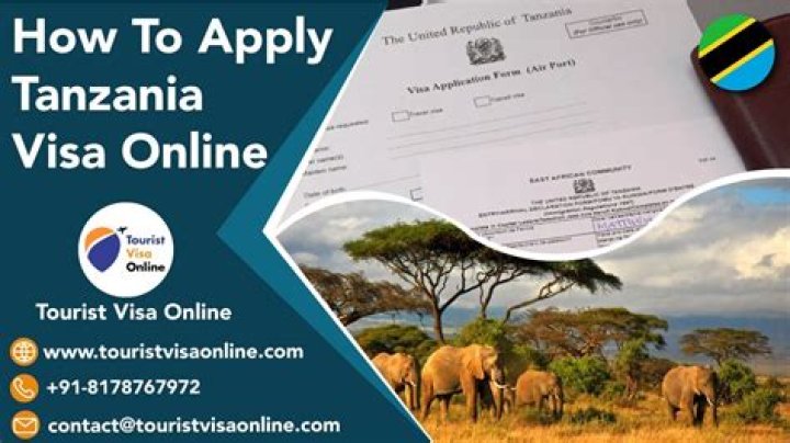 How can I check my Tanzania visa online?