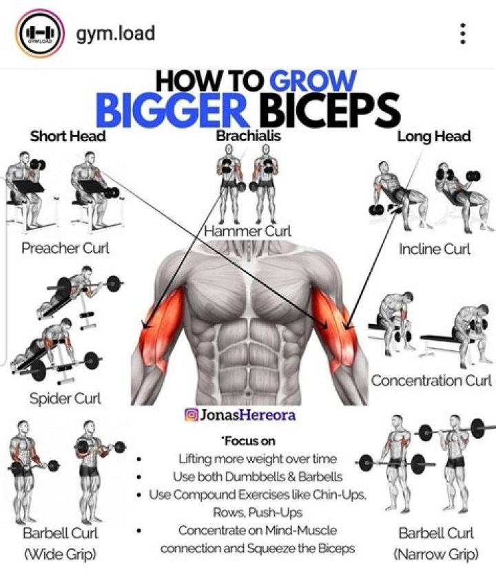 How can I get thicker biceps and triceps?