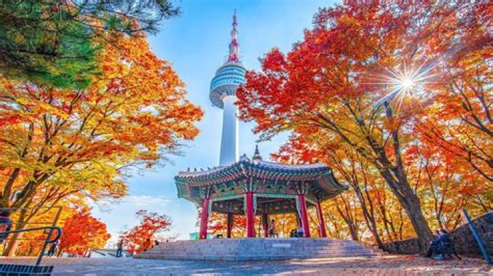 How can I have fun in Seoul?