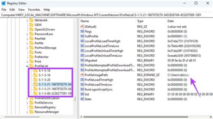 How can I remove corrupted profile from registry?