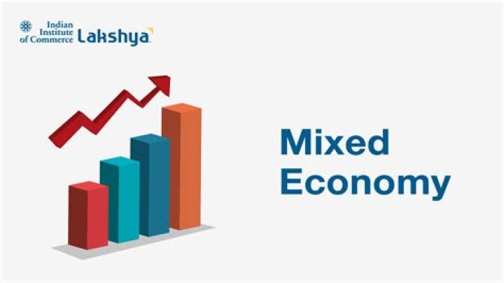 How can you say that India is a mixed economy?