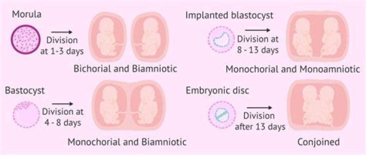 How common are non-identical triplets?