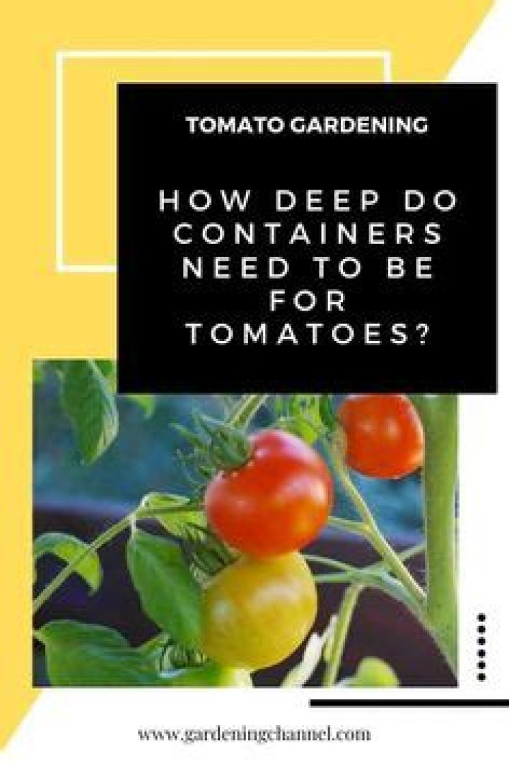 How deep do containers need to be for tomatoes?