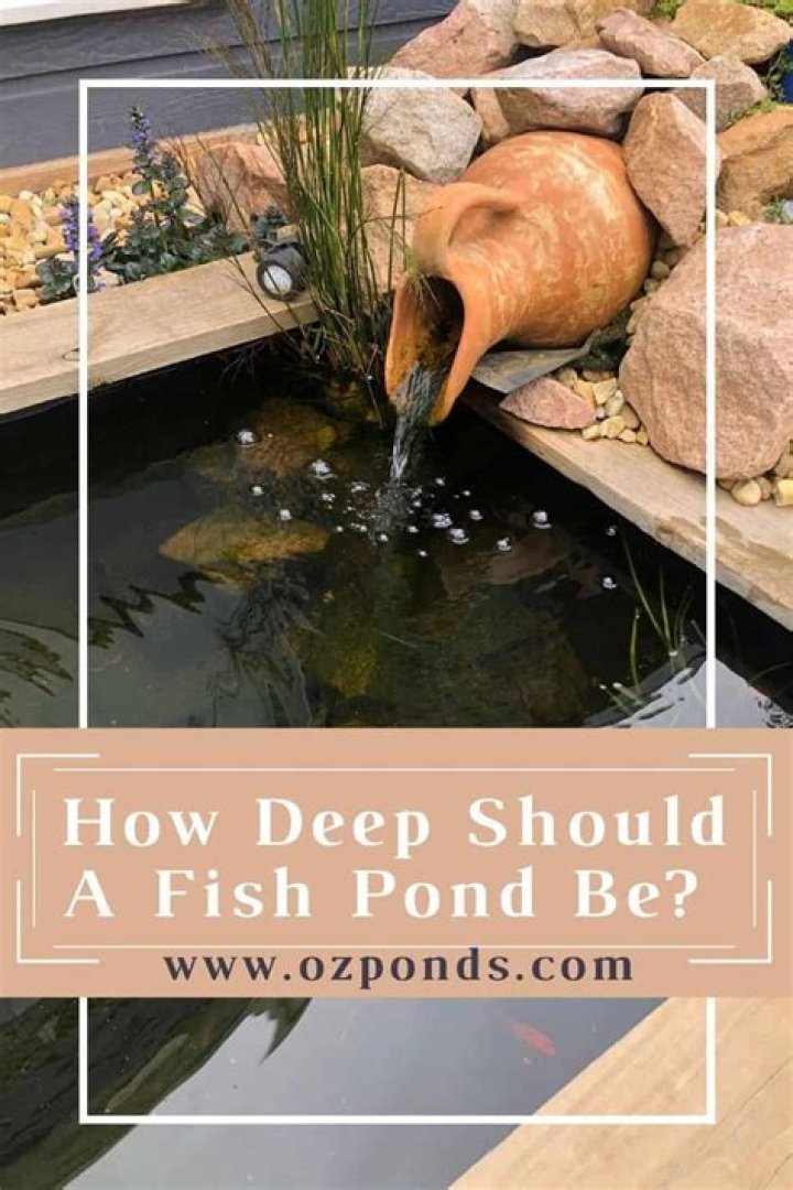 How deep does a goldfish pond need to be?