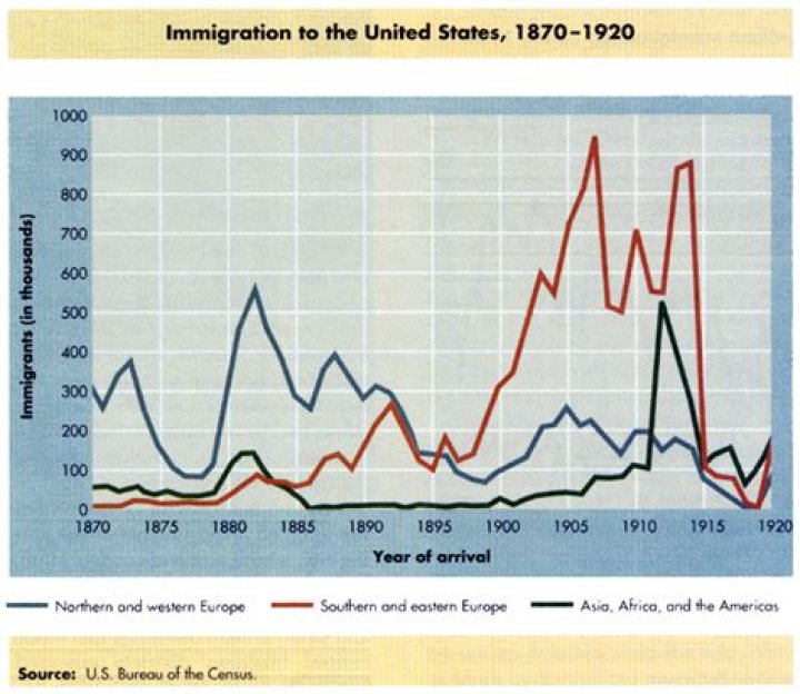 How did immigration affect America in the 1800s?