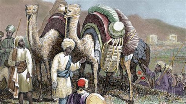 How did merchants transport goods from Asia to markets in Europe?