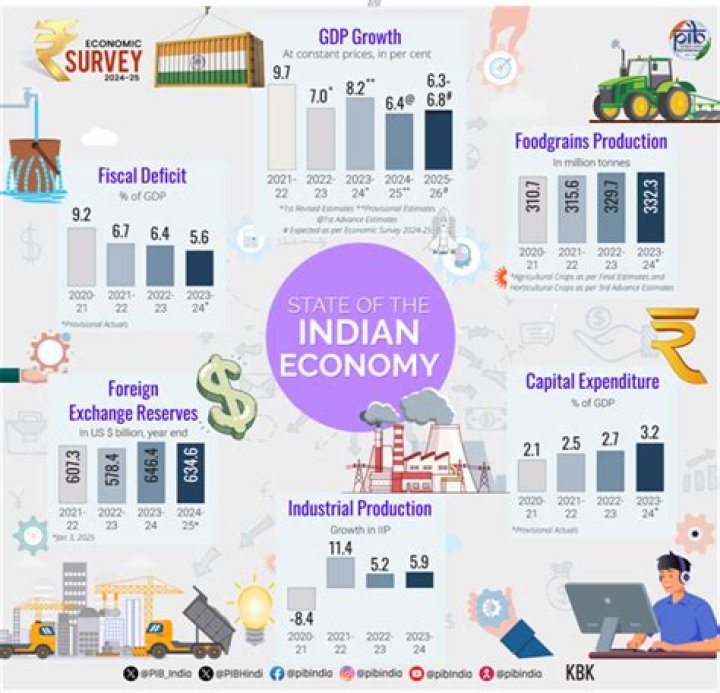 How did New Economic Policy affect Indian economy?