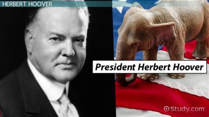 How did President Hoover respond to the economic crisis?