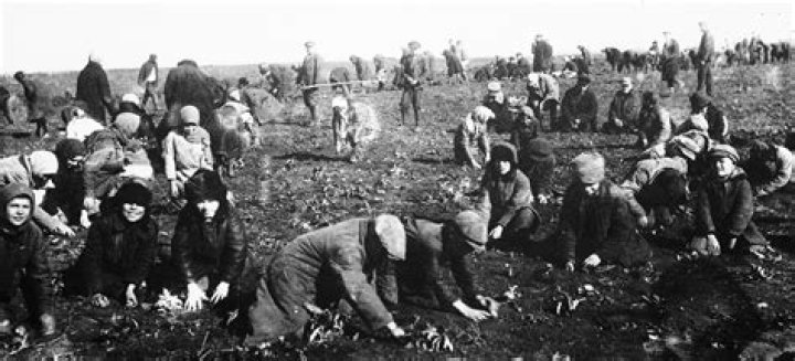 How did Stalin attempt to collectivize agriculture?