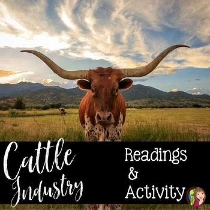 How did the cattle industry impact Texas economy?