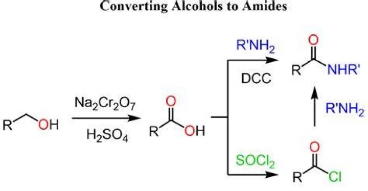 How do amides react with alcohol?