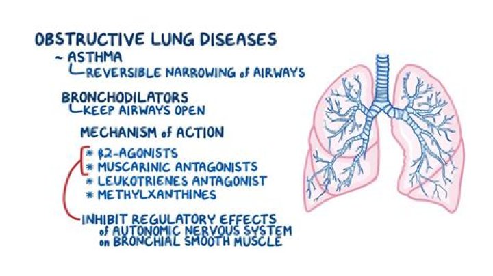 How do anticholinergics cause bronchodilation?