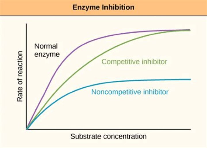 How do enzyme inhibitors affect the Michaelis Menten kinetics?