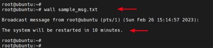 How do I broadcast a message on a Linux server?