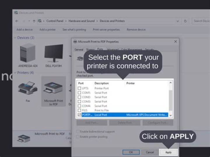 How do I change my printer port name?