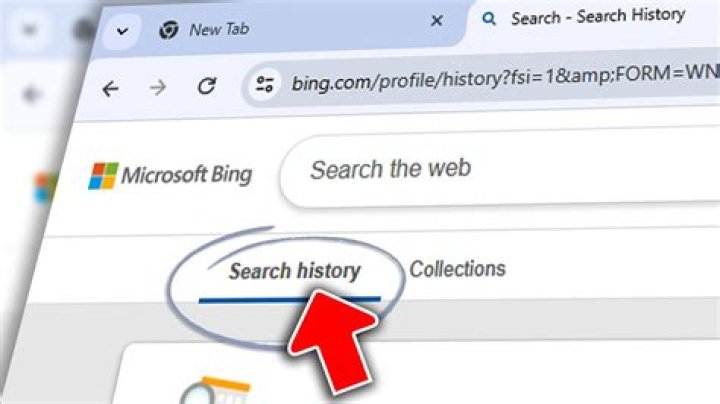 How do I clear my search bar history on Internet Explorer?