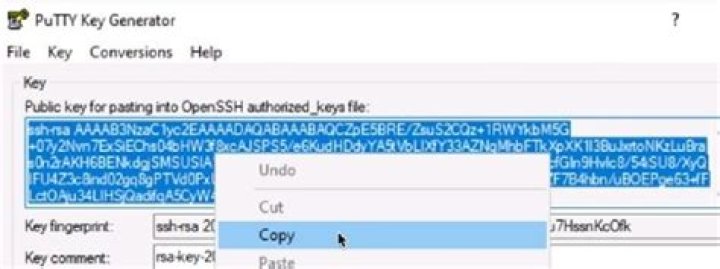 How do I connect to a public key in PuTTY?