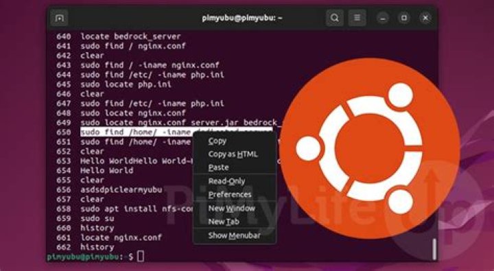 How do I copy and paste in Linux?