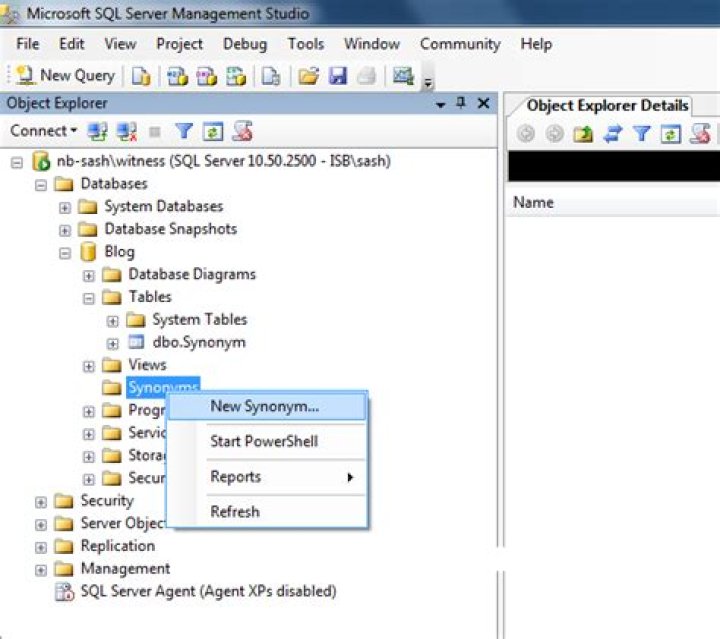 How do I create a public synonym in SQL Server?