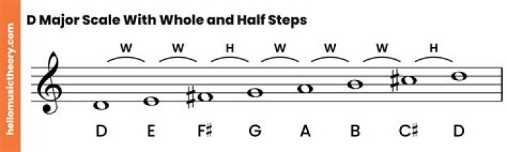 How do I find the scale of a song?