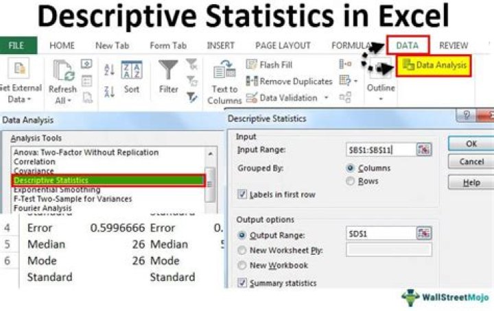 How do I get Descriptive Statistics in Excel?
