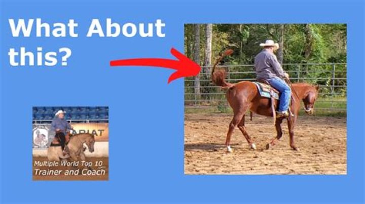 How do I get my horse to stop swishing his tail?