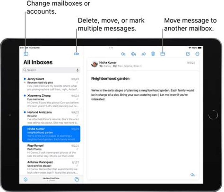 How do I get my NTLworld email on my iPad?