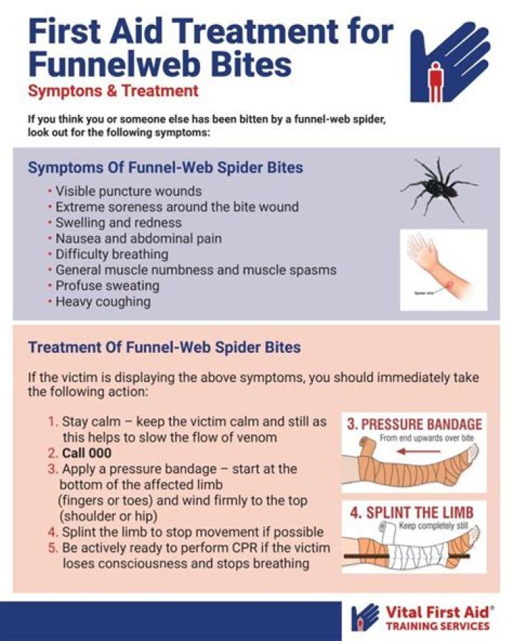 How do I get rid of funnel web spiders in Australia?