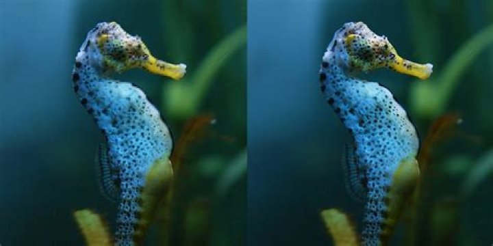 How do I get rid of JPEG artifacts in Photoshop?