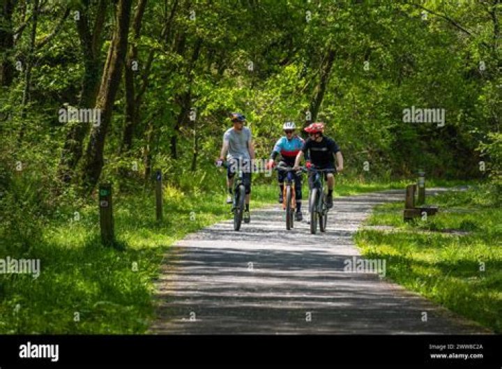 How do I get to Afan Forest Park by bike?