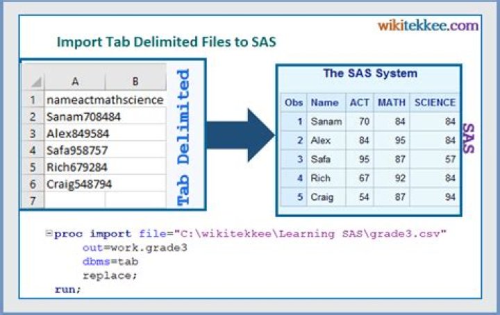 How do I import a delimited file into SAS?