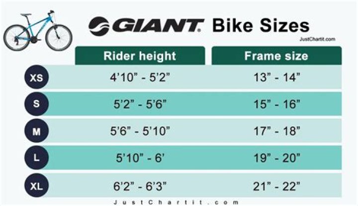 How do I know my giant frame size?