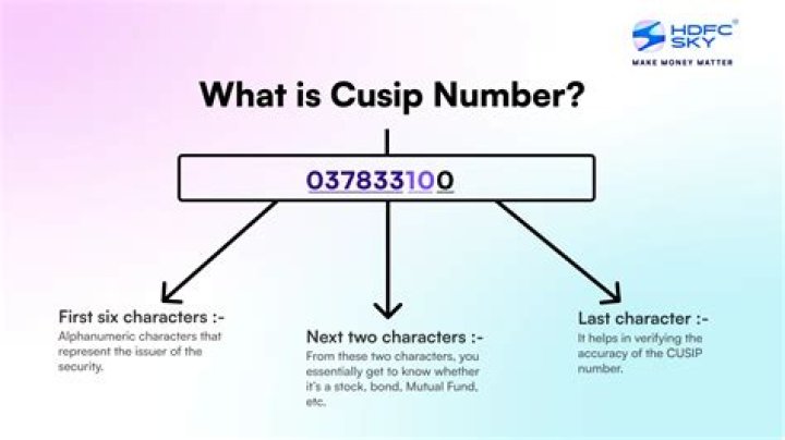 How do I look up a CUSIP number?