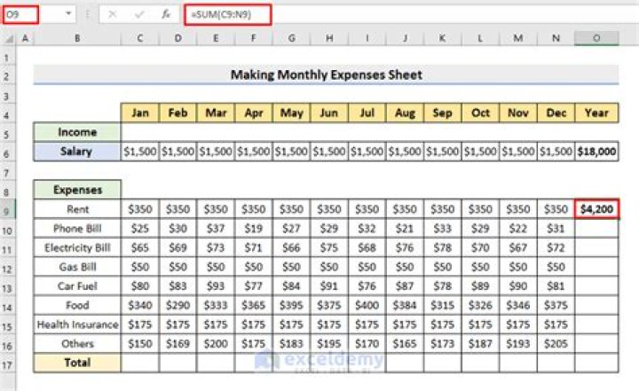 How do I manage home expenses in Excel?