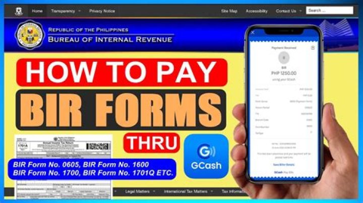 How do I pay BIR by check?