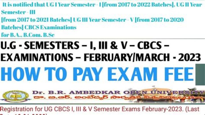 How do I pay Braou fees?