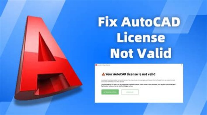 How do I reset my AutoCAD Network license?