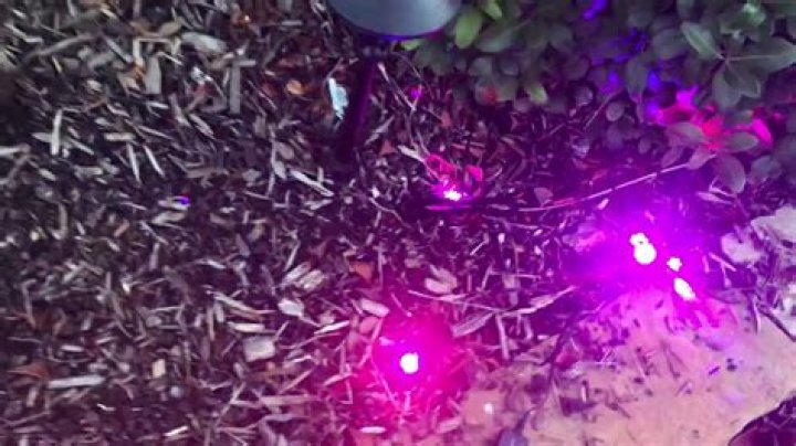 How do I reset Osram Gardenspot?