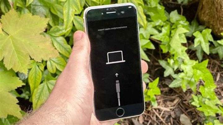 How do I restore my phone firmware?