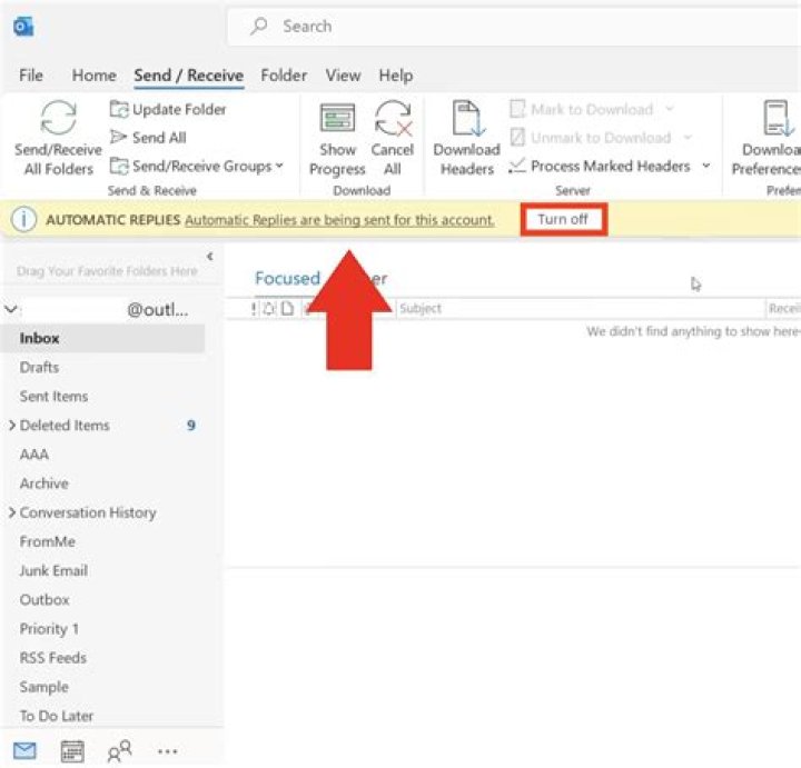 How do I set up an automatic reply in Thunderbird?
