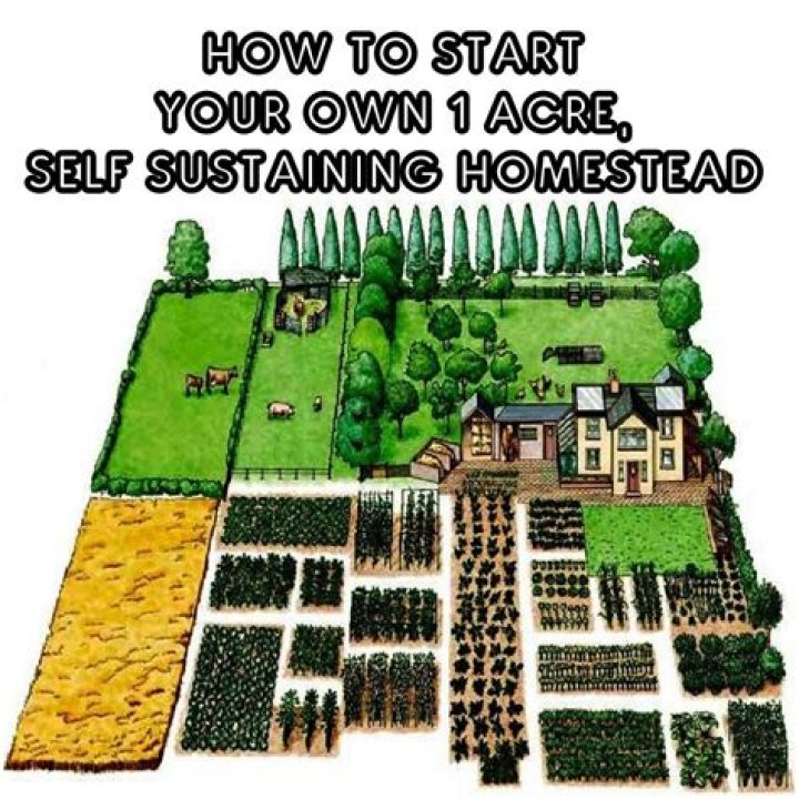 How do I start a small homestead?
