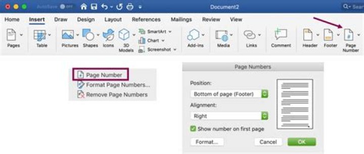 How do I start page numbers on a different page in LaTeX?
